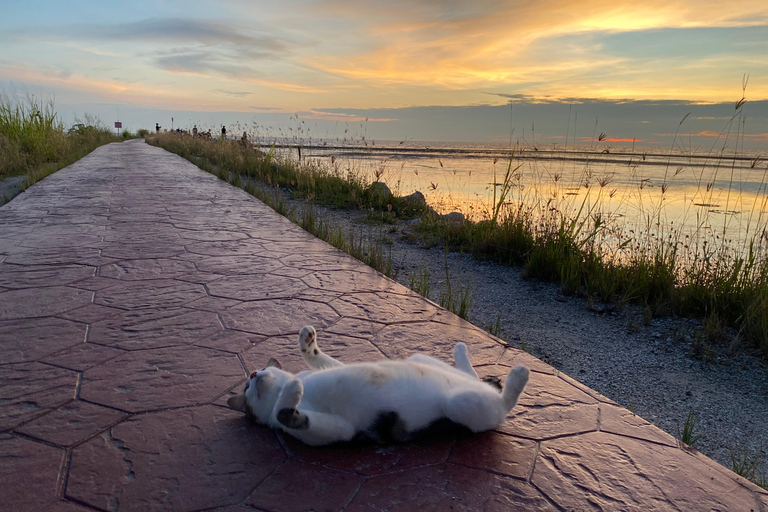 Penang: Balik Pulau Kulturerlebnis &amp; DorftourPenang: Kulturelle Erlebnisse in Balik Pulau &amp; Dorftour