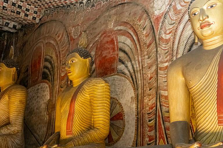 From Sigiriya: Sigiriya and Dambulla Day Tour Tour with mini van