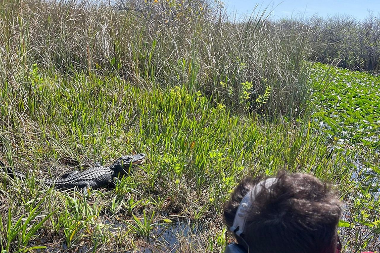 Everglades: Semi-Private or Private Airboat Tour Everglades: Private Airboat Tour 2hrs