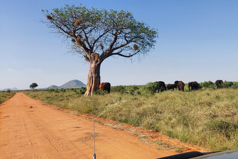Mombasa:2-Day Tsavo East Wildlife Safari with Overnight Stay