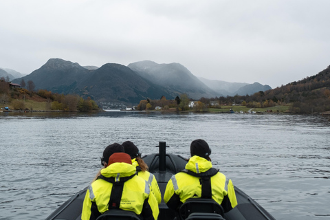 Majesteit Rosendal: Exclusief RIB avontuur in HardangerfjordRosendal: privé RIB-safaritocht door Hardangerfjord