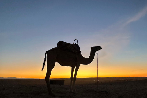 Marrakesz: Agafay Quad Tour z przejażdżką na wielbłądzie, kolacją i pokazemMarrakesz: Agafay Desert Quad Bike, Przejażdżka na wielbłądzie i Dinner Show