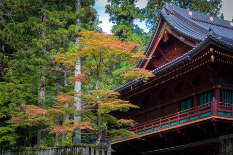 Nikko: Private Sightseeing Day Tour with Driver & Transport