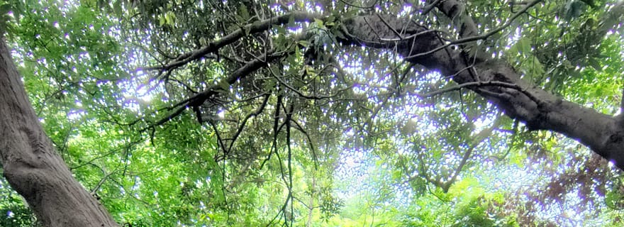 Yokosuka : randonnée et croisière hors des sentiers battus