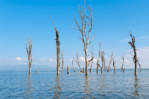 Lake Nakuru & Naivasha National Park Wildlife Highlights