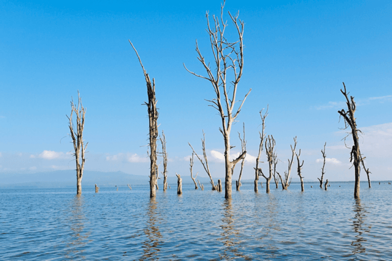 Lake Nakuru & Naivasha National Park Wildlife Highlights
