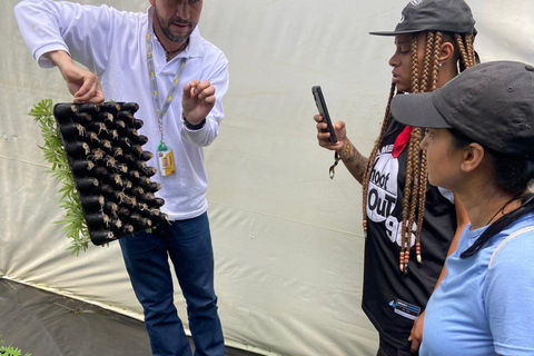 Private Medellín Cannabis Culture Tour with Lunch & Tasting