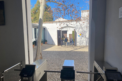 from Mijas, Malaga: Private tour Ronda incl. transfer, bullfighting arena and tapas