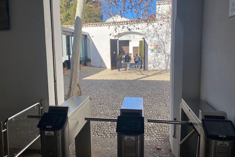 from Mijas, Malaga: Private tour Ronda incl. transfer, bullfighting arena and tapas