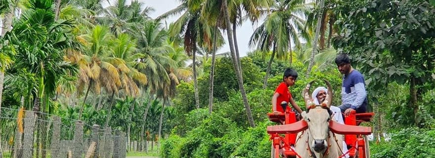 Visite d'une journée de Coimbatore à Coconut Village – Nature et culture