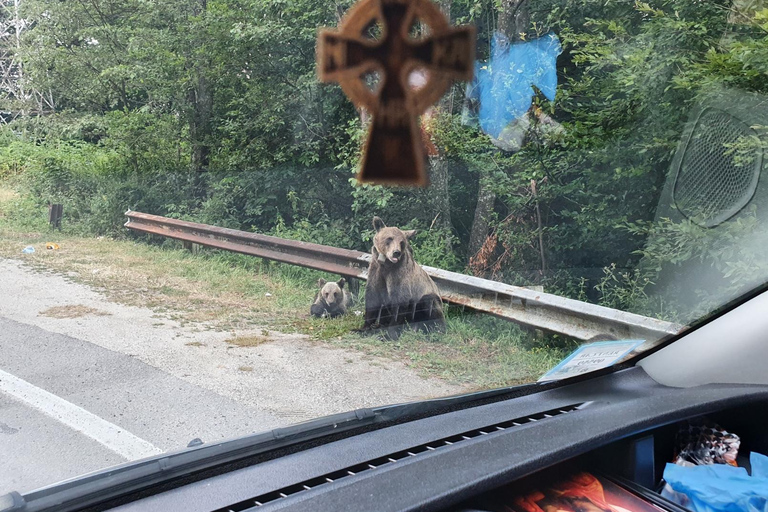 Desde Bucarest: excursión privada de un día a la autopista Transfagarasan