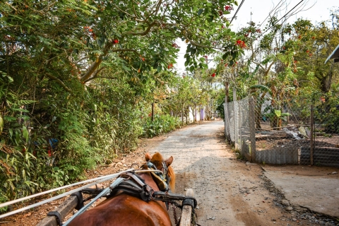 Desde Ho Chi Minh: tour privado de un día por el delta del Mekong