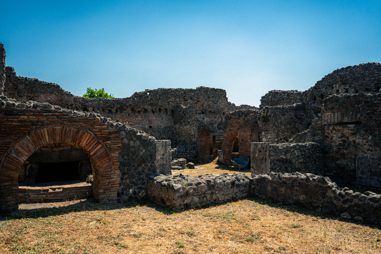 Au départ de Rome : Pompéi avec un archéologue + déjeuner à SorrenteVisite guidée de Pompéi avec déjeuner pizza à Sorrente