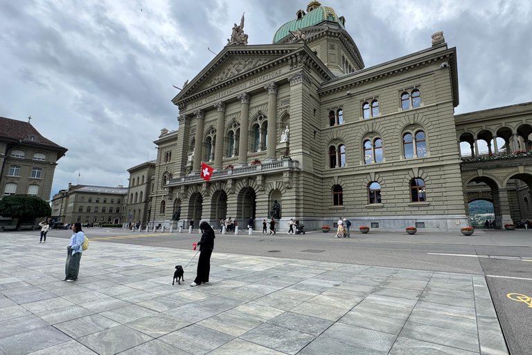 From Zurich: Private Day Trip to Bern’s Top Sights