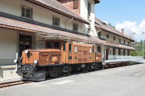 UNESCO Rhaetian Railway: Viaduct, Train Museum, St. Moritz Group of 8 Excluding Train Tickets