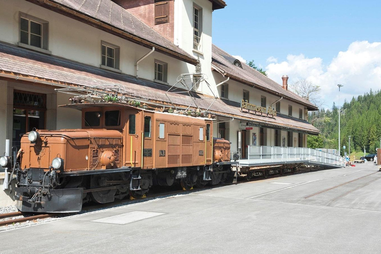 UNESCO Rhaetian Railway: Viaduct, Train Museum, St. Moritz Group of 8 Excluding Train Tickets