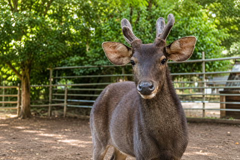 From Kuala Lumpur: Zoo Melaka & Heritage Photo Stops Tour Zoo Melaka & Heritage Photo Stops Tour (Shared)