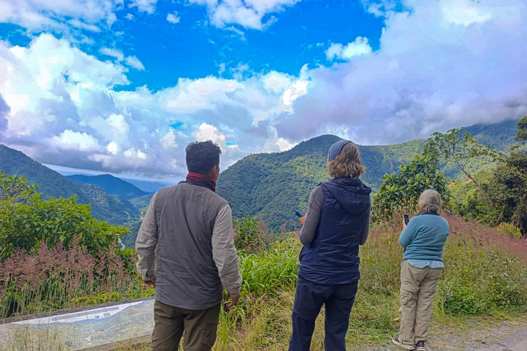From Cusco: Manu National Park 4-Day Wildlife Expedition