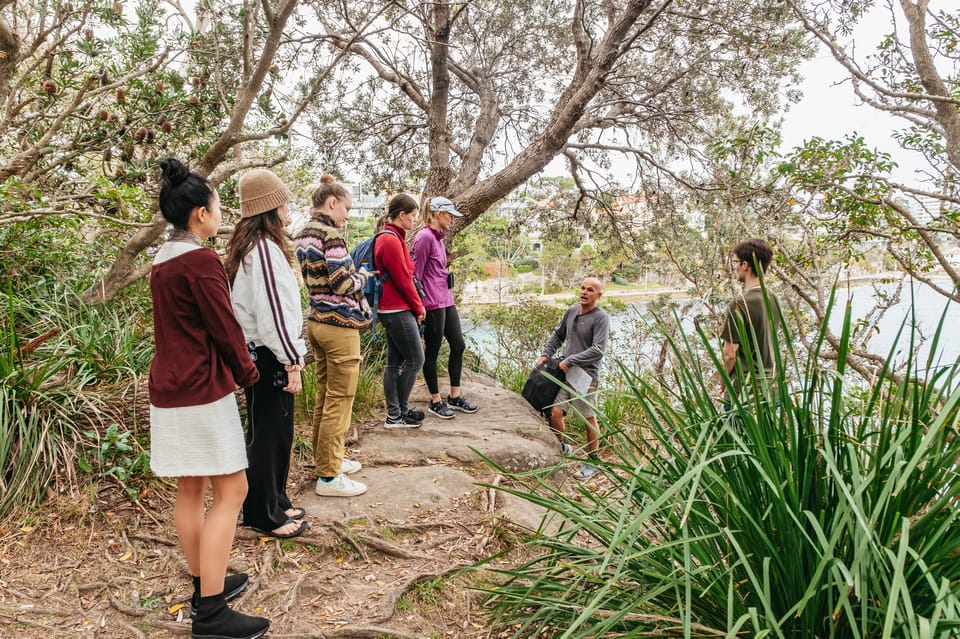Sydney Manly and Shelly Beach Snorkeling Tour GetYourGuide