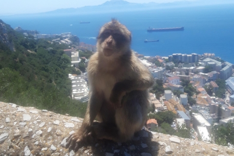 Zwiedzanie Gibraltaru - Classic Rock Tour