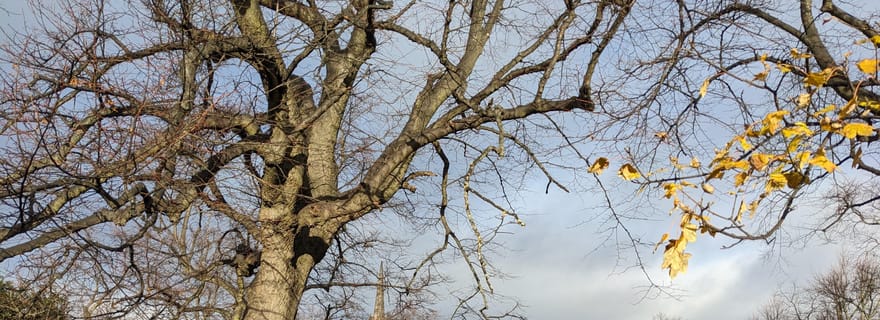 Magie et Légendes à Edimbourg : visite pédestre en français