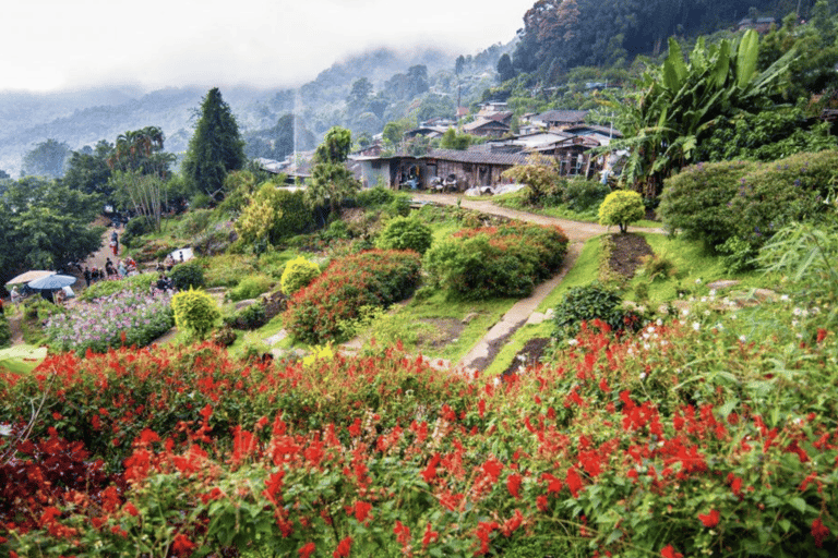 Chiang Mai: Hmong Village, Doi Suthep and Wat Pha Lat Trek