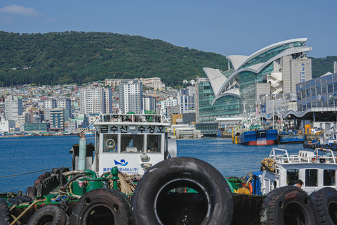 Busan: Power Walk Tour with a Local Mate