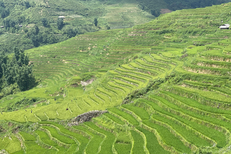 Excursión a la Aldea del Dao Rojo y Baño de Hierbas