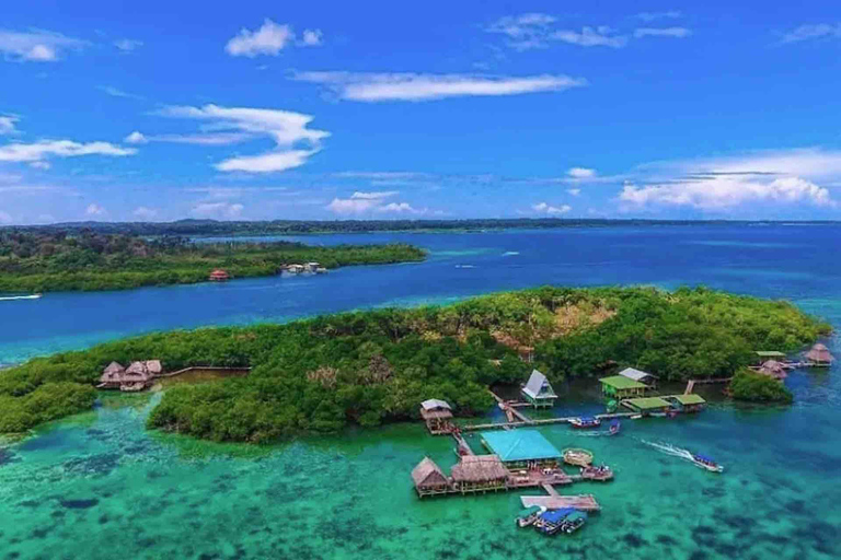 Bocas del Toro: tour in barca di Monkey Island e Cayo Coral