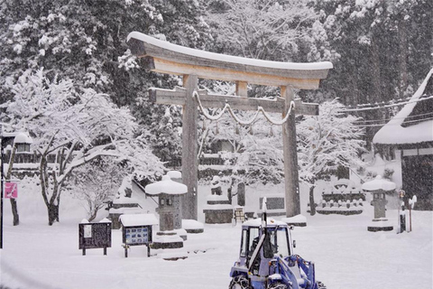 Tokyo: Nagano Snow Monkeys or Shrine or Snow Hut Day Trip Package 2: Togakushi Shrine Itinerary