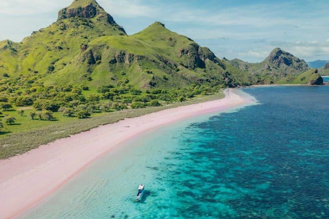 Komodo National Park Full-Day Boat Tour