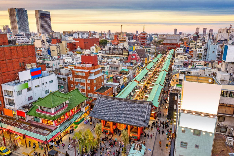 Tokio: tour turístico privado de día completo con conductor de habla inglesa