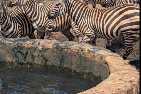 Von Mombasa/Diani: 3-tägige Tsavo Ost und Amboseli Safari3 Tage Tsavo Ost und Amboseli