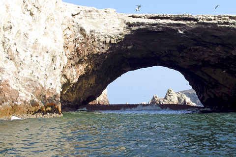 FD: Ica, Paracas - Ballestas Islands - Huacachina Excursion