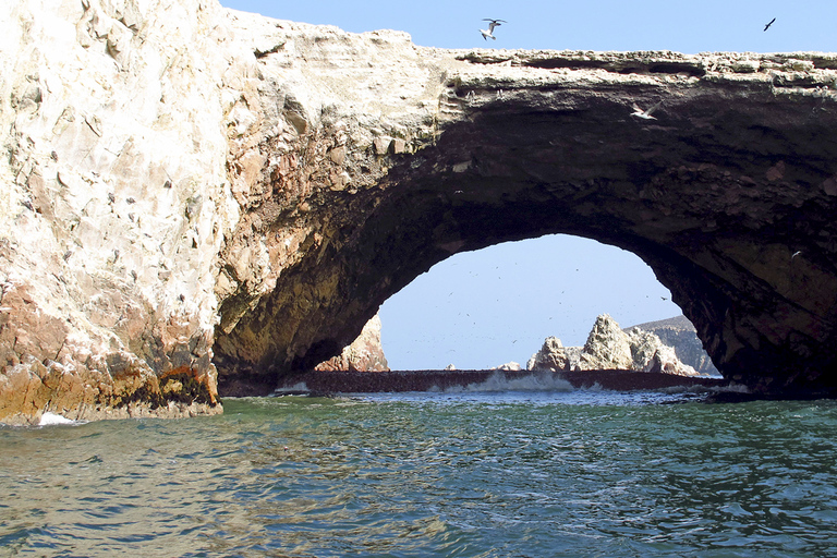 FD: Ica, Paracas - Ballestas Islands - Huacachina Excursion