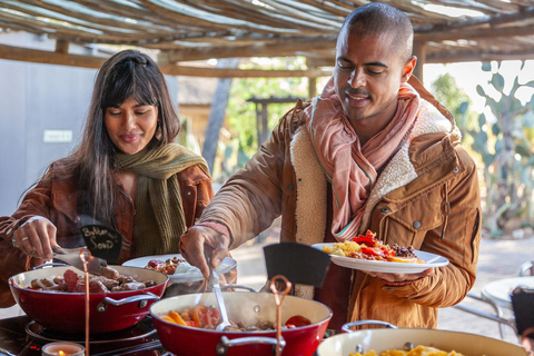 Cape Town: One-Day Safari with Game Drive & Lunch