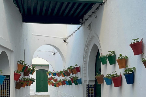 Private Day Trip to Tangier from Tarifa or Algeciras