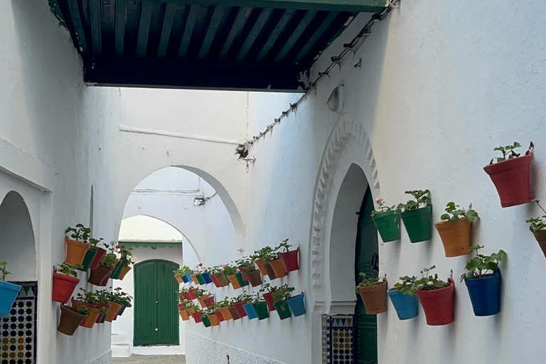Private Day Trip to Tangier from Tarifa or Algeciras