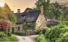From London: Full-Day Cotswolds Tour with Lunch