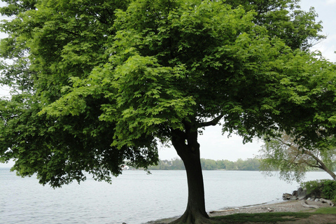 Niagara Falls: Niagara-on-the-Lake Luxury Private Tour Niagara Falls: Niagara-on-the-Lake Private Tour