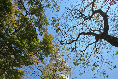 From Kandy: Pinnawala Elephants & Ambuluwawa Tower Day Tour From Kandy: Ambuluwawa Tower private tour by car/mini van 02