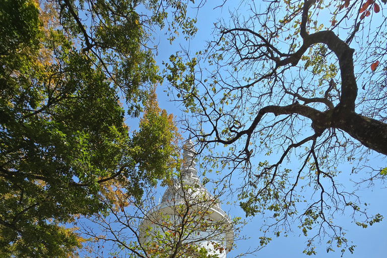 From Kandy: Pinnawala Elephants & Ambuluwawa Tower Day Tour From Kandy: Ambuluwawa Tower private tour by car/mini van 02
