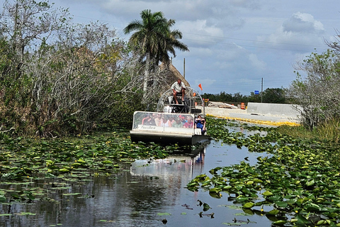 Everglades: tour in barca con trasporto e ingresso incluso