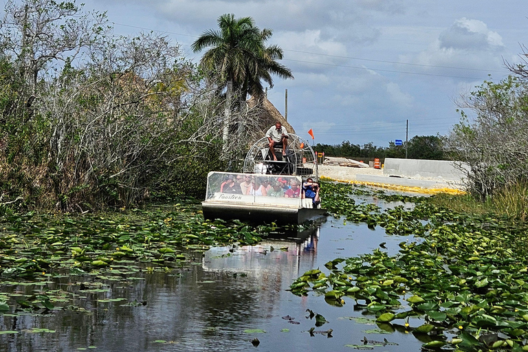 Everglades: tour en barco con transporte y entrada incluidos