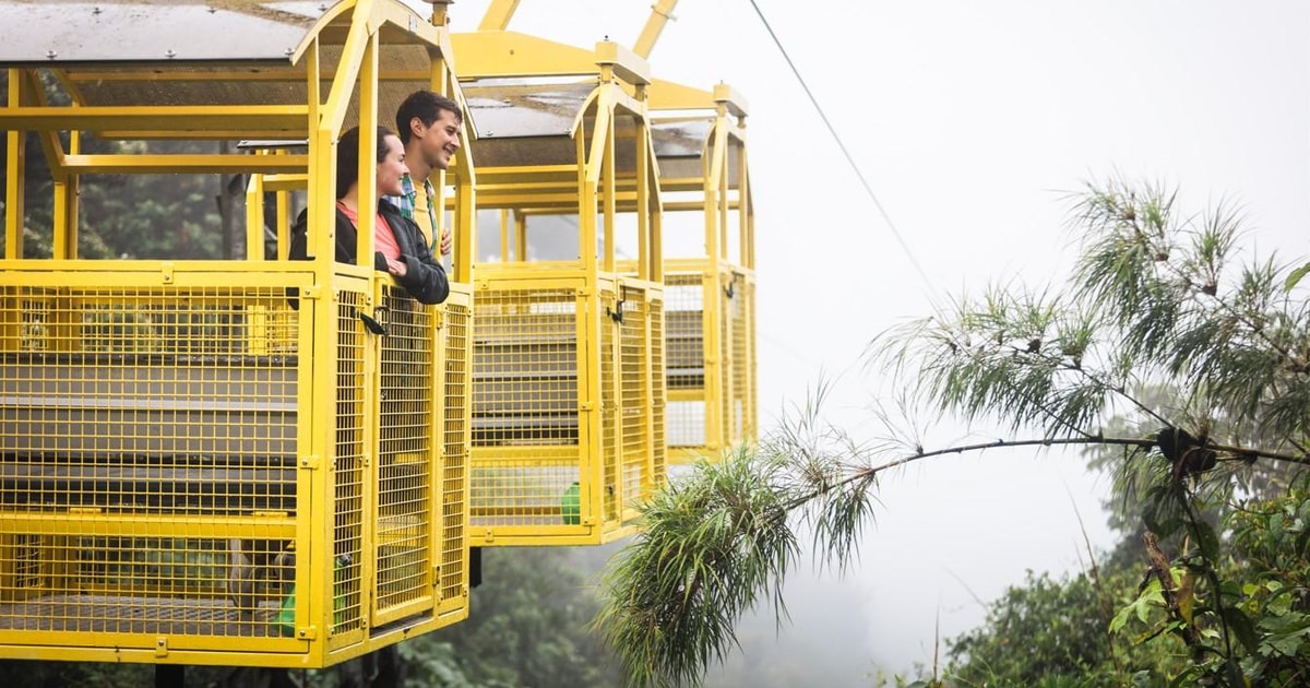 Monteverde: Tree Tram and Skywalk Hanging Bridges Combo | GetYourGuide