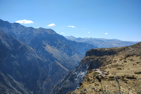 Exkursion: Colca Canyon mit Transfer nach Puno.