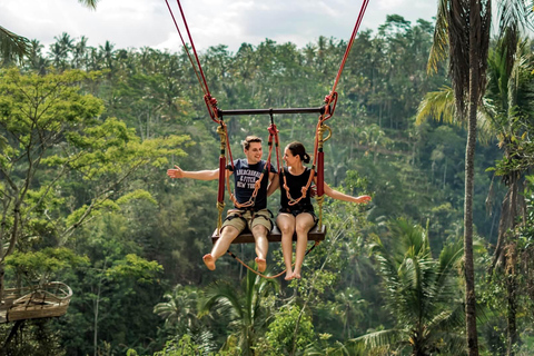 Ubud: Monkey Forest, Cretya Pool & Zipline Shared Tour Private Tour with Hotel Transfer - No Tickets