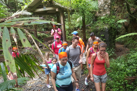 Wanderung durch den Regenwald und StrandAbenteuer Regenwald und Strand