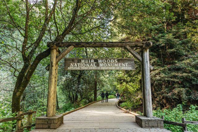 Desde San Francisco: Visita guiada al Monumento Nacional de Muir Woods