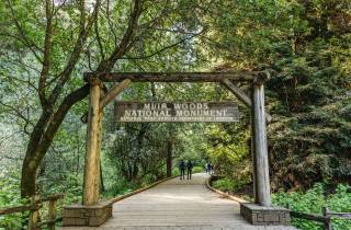 Von San Francisco aus: Muir Woods National Monument - Geführte Tour